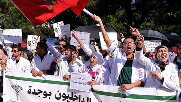 المواطن