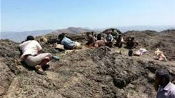المواطن