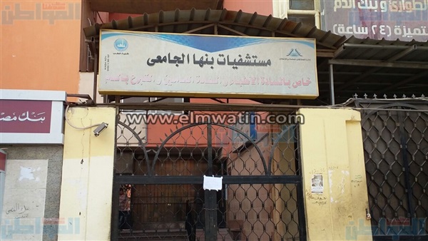 المواطن
