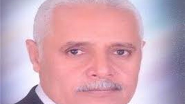 صلاح فتحى