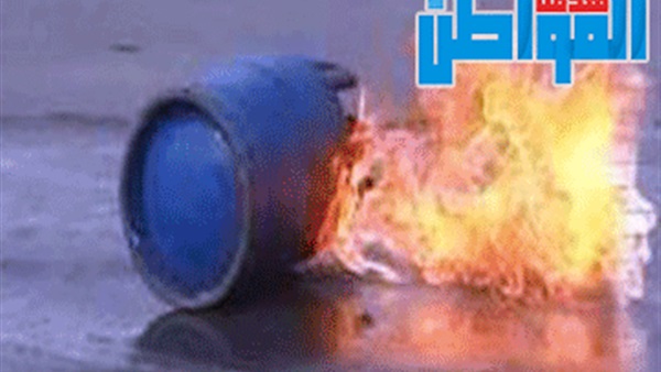 المواطن