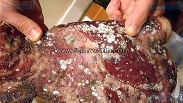 ضبط كبدة فاسدة بسوهاج