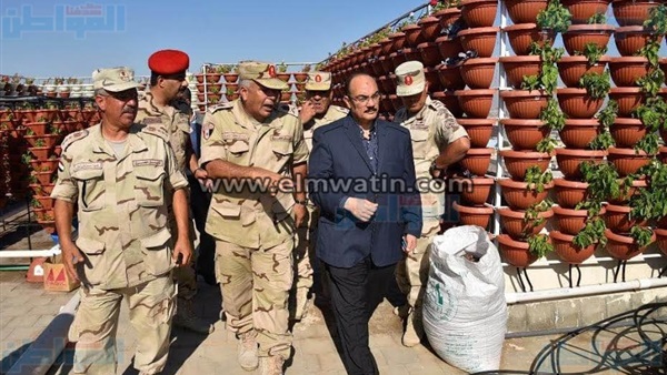 المواطن