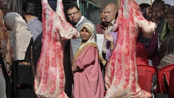 صورة ارشيفية