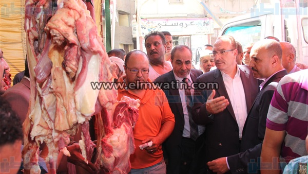 المواطن