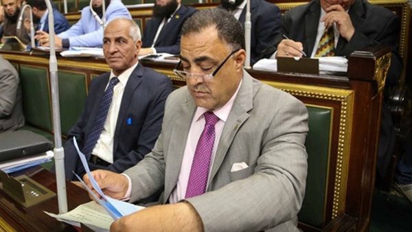 النائب إلهامى عجينة