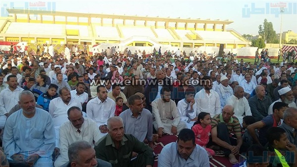 المواطن