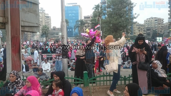 المواطن