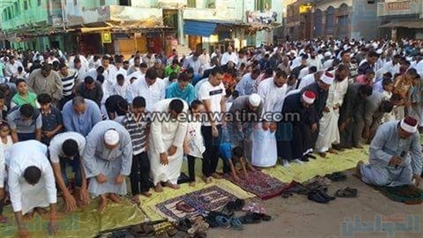 المواطن