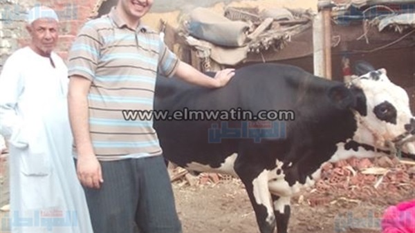 المواطن