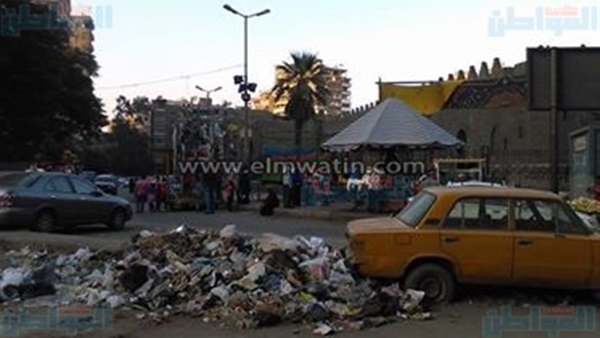 المواطن