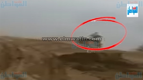 المواطن