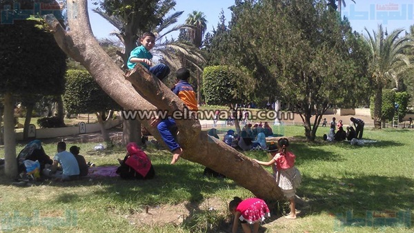 مظاهر احتفالات المواطنين