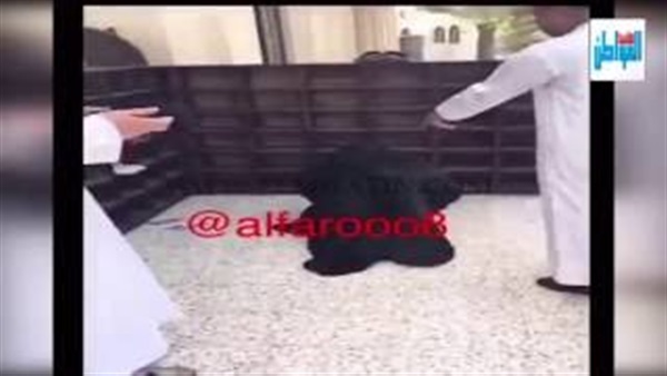 المواطن