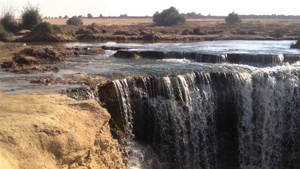 محمية وادي الريان