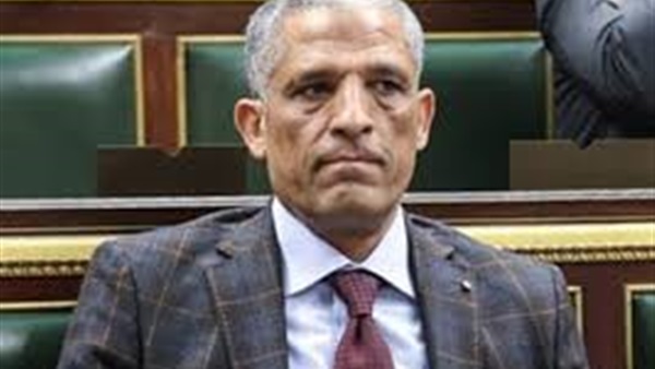 النائب محمد الحسينى