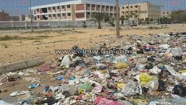 المواطن