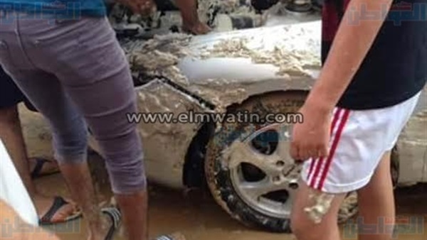 المواطن