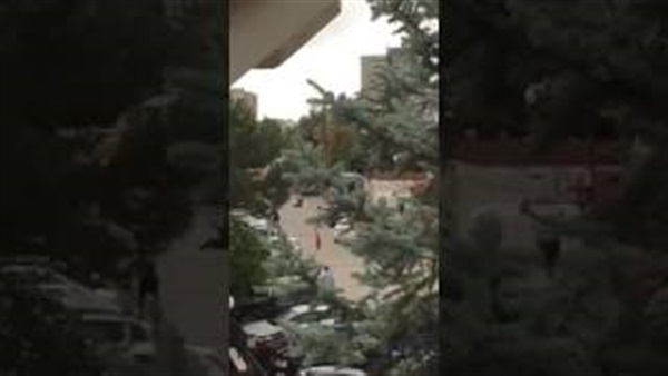 المواطن