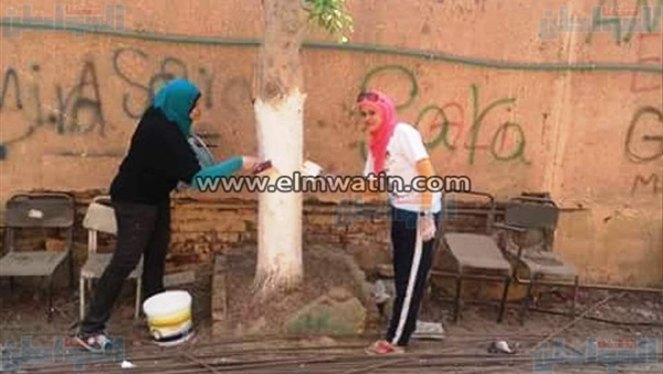 المواطن