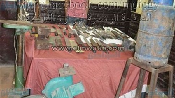 المواطن