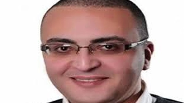 عمرو عزت