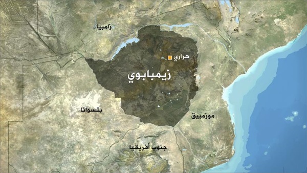 المواطن