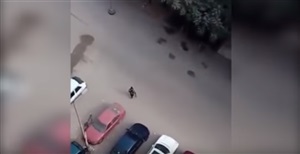 بالفيديو.. لحظة قنص