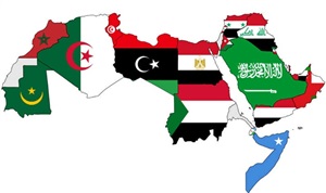 الأمة العربية