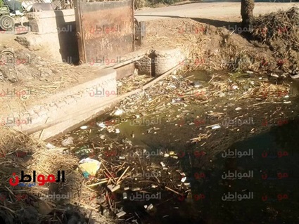 صور| ابجاج الحطب