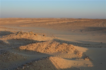 بوابة المواطن تفتح