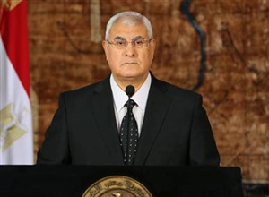 المستشار عدلى منصور