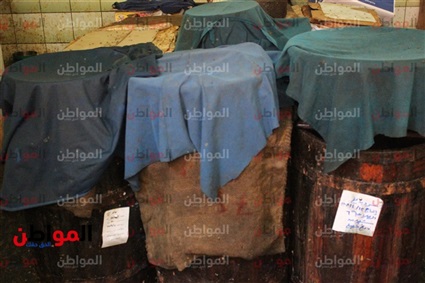 الفسيخ والرنجة