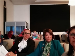 وفد المجلس
