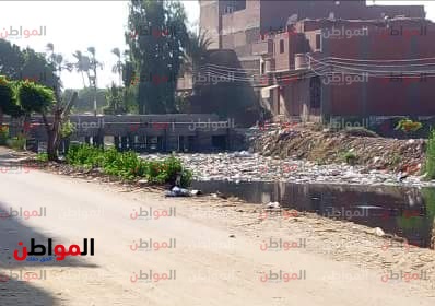 صور.. مصرف شبين القناطر