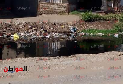 صور.. مصرف شبين القناطر