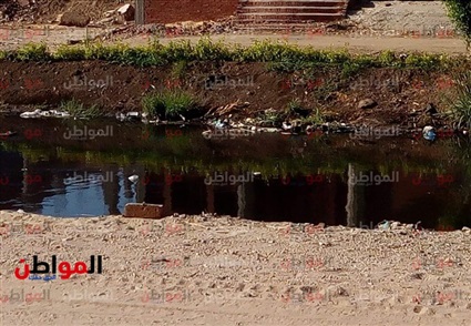 صور.. مصرف شبين القناطر