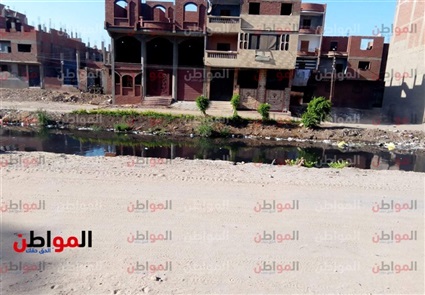 صور.. مصرف شبين القناطر