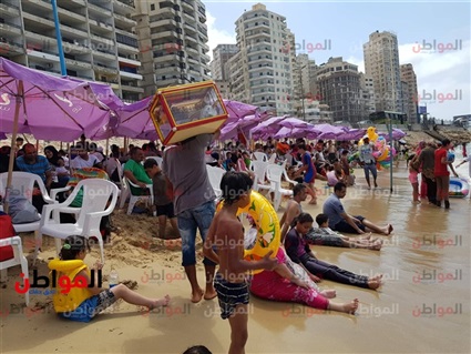 بائع الفريسكا