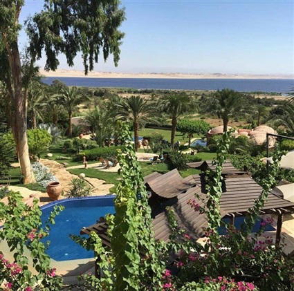 صناعة الخزف حوّلت