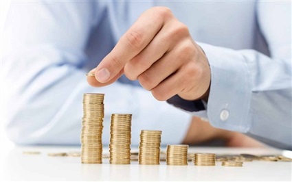 قطاع الأعمال العام