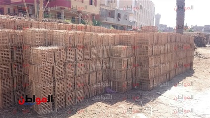 فيديو..١٠ آلاف أسره