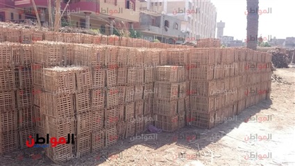 فيديو..١٠ آلاف أسره