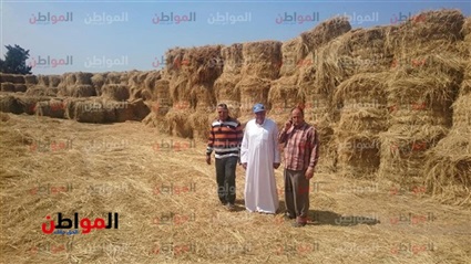 فيديو.. تكبيس قش