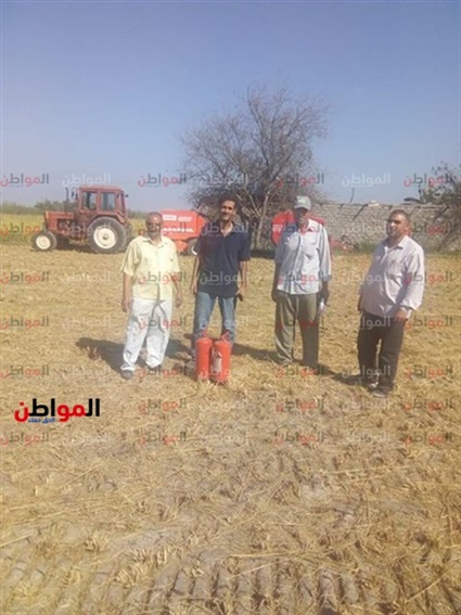 فيديو.. تكبيس قش