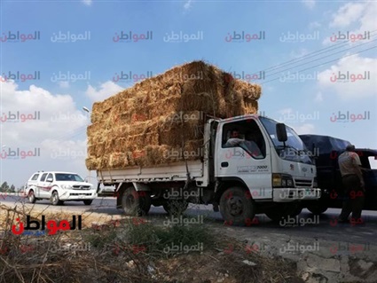 فيديو.. تكبيس قش