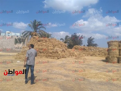 فيديو.. تكبيس قش