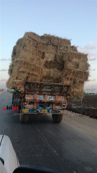 فيديو.. تكبيس قش