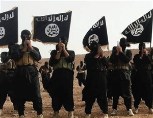 تنظيم داعش فى الشمال
