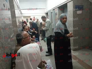 فيديو.. مصائب التأمين